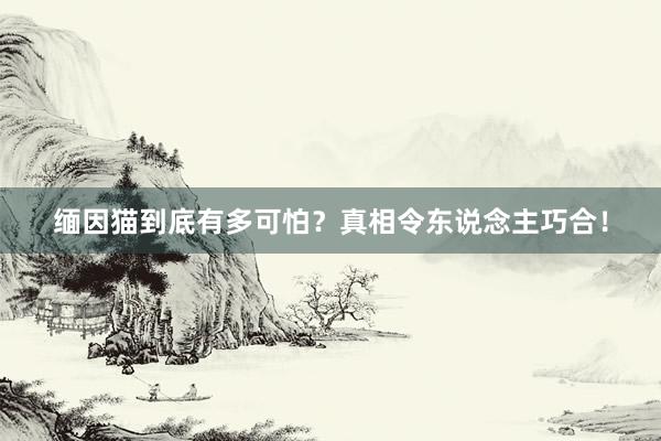 缅因猫到底有多可怕？真相令东说念主巧合！