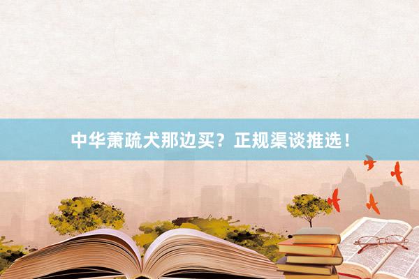 中华萧疏犬那边买？正规渠谈推选！